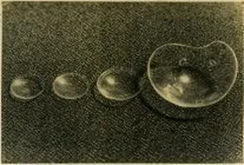 Scleral Lenses from the initial period