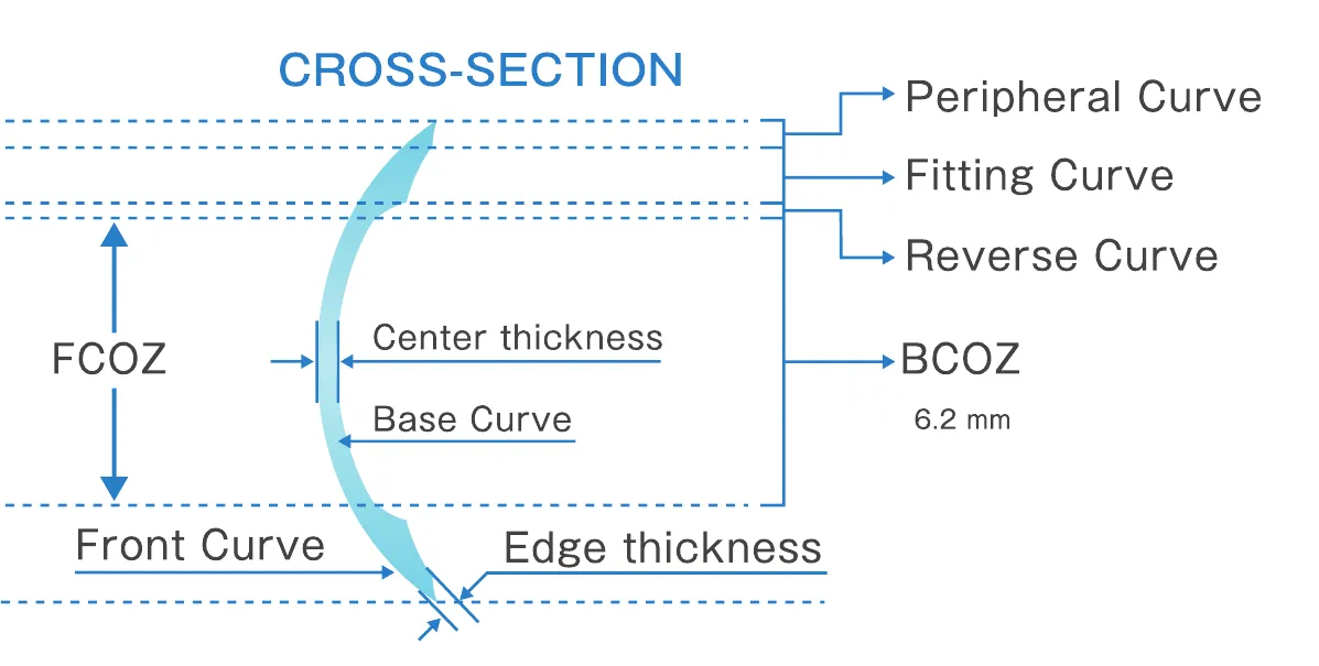 Cross-section of the Lens, labelled with the peripheral, fitting and reverse curves, BCOZ 6.2 mm, FCOZ, centre thickness, base curve, front curve and edge thickness